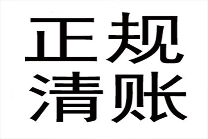 法定代表人及股东个人借款的偿还责任问题